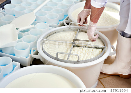 Mixing cheese material for the production 37911994