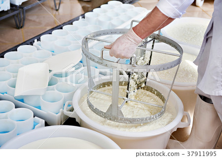 Mixing cheese material for the production Mixing cheese material for the production 37911995