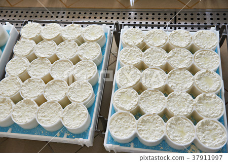 Molds with semifinished for production 37911997