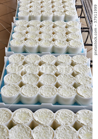 Molds with semifinished for production 37911999