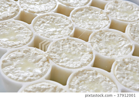 Molds with semifinished for production camembert 37912001