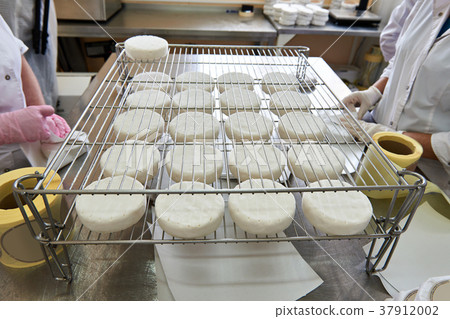 Manual packaging of cheese camembert Manual packaging of cheese camembert 37912002