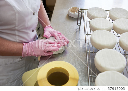 Manual packaging of cheese camembert 37912003