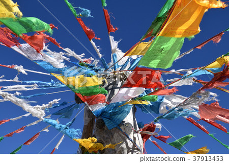 Shika Snow Mountain Shika Snow Mountain 37913453