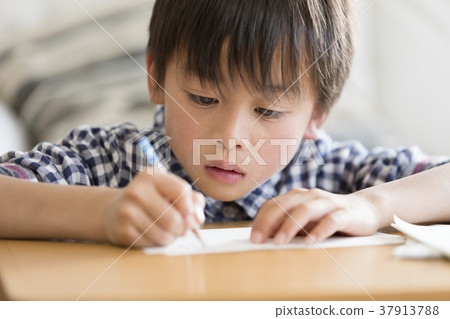 Primary school student study seriously 37913788