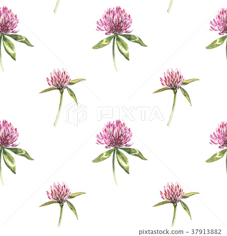 Clover leaf and flowers hand drawn seamless Clover leaf and flowers hand drawn seamless 37913882