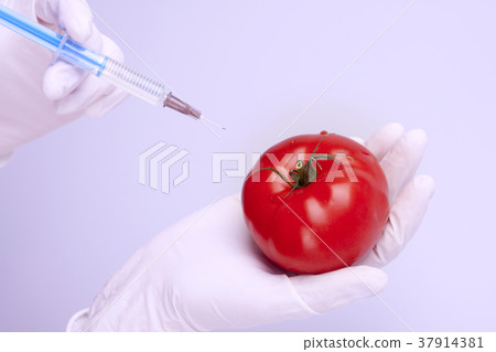 Genetically modified fruits and vegetables Genetically modified fruits and vegetables 37914381