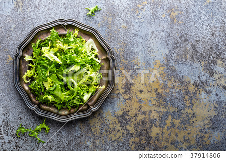 Frize lettuce salad, fresh frisee Frize lettuce salad, fresh frisee 37914806