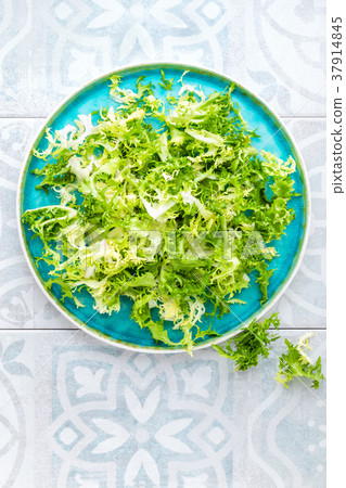Frize lettuce salad, fresh frisee 37914845