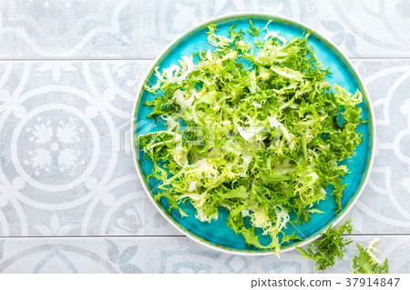 Frize lettuce salad, fresh frisee 37914847