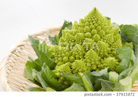 Romanesco 37915872