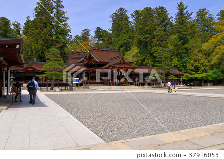 Taga Taisha 37916053