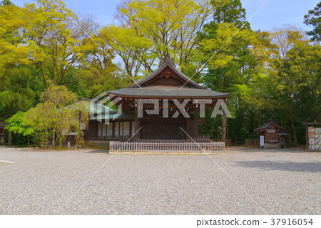 Taga Taisha 37916054
