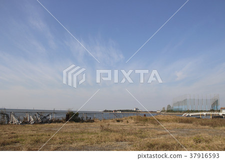 在冬天的Egawa海岸 在冬天的Egawa海岸 37916593