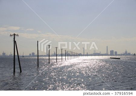 在冬天的Egawa海岸 37916594