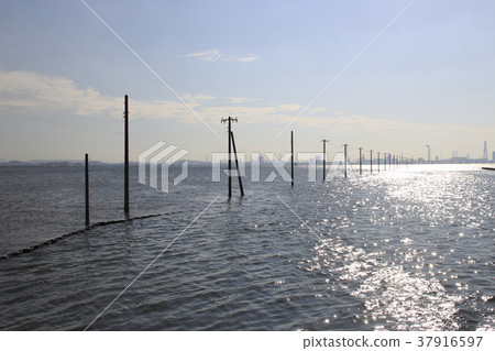 On the Egawa coast in winter 37916597