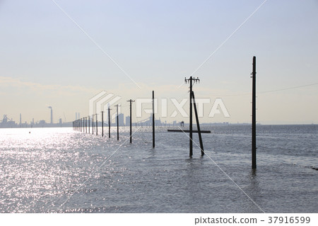 On the Egawa coast in winter On the Egawa coast in winter 37916599