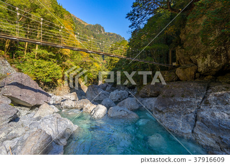 Japan's Three Great Valleys, One Hundred Elections, Osugi Valley's Momo no Ki Suspension Bridge (Mie Prefecture) Japan's Three Great Valleys, One Hundred Elections, Osugi Valley's Momo no Ki Suspension Bridge (Mie Prefecture) 37916609