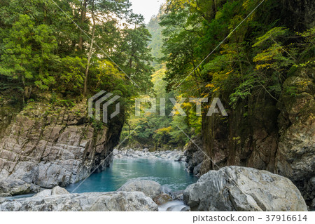 日本的三大峽谷,一百個選舉,帶有秋葉的大塚(三重縣)※在工作評論欄中拍攝了位置信息 日本的三大峽谷,一百個選舉,帶有秋葉的大塚(三重縣)※在工作評論欄中拍攝了位置信息 37916614