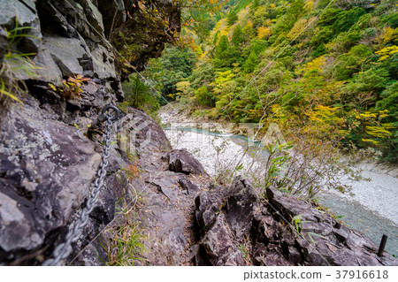 Japan's three major valleys, one of the top ten hidden areas, and the Osugi valley with colored leaves (Ota-machi, Taki-gun, Mie Prefecture) Japan's three major valleys, one of the top ten hidden areas, and the Osugi valley with colored leaves (Ota-machi, Taki-gun, Mie Prefecture) 37916618