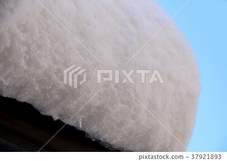 城市大雪，雪屋頂，埼玉市，西區 37921893