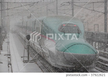 Tohoku Shinkansen E5 system leaving Fubukiku Ninohe Station Tohoku Shinkansen E5 system leaving Fubukiku Ninohe Station 37922621