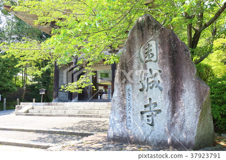 Shida early summer Mitsui-ji 37923791