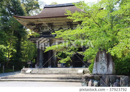 實達初夏三井 37923792