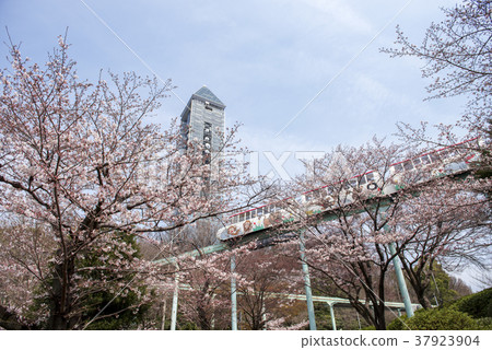 Higashiyama Sky Tower in spring Higashiyama Sky Tower in spring 37923904