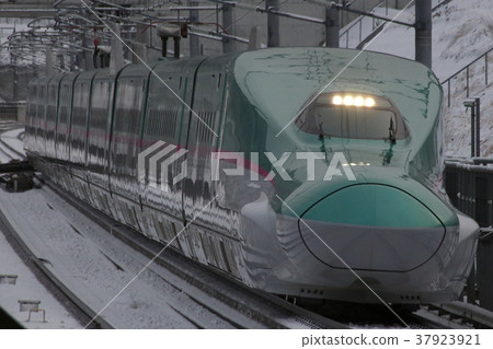 Tohoku Shinkansen E5系列在白雪皚皚的國家 Tohoku Shinkansen E5系列在白雪皚皚的國家 37923921