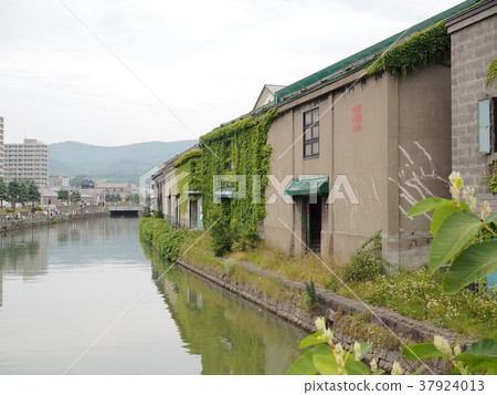  小樽運河 37924013