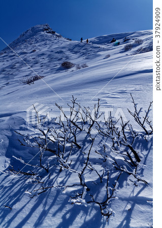 Nasu in the winter · Asahi-dake and tree breaking ice Nasu in the winter · Asahi-dake and tree breaking ice 37924909
