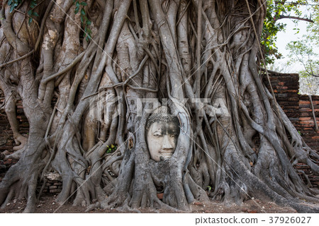 泰國大城府Wat Mahathat 泰國大城府Wat Mahathat 37926027