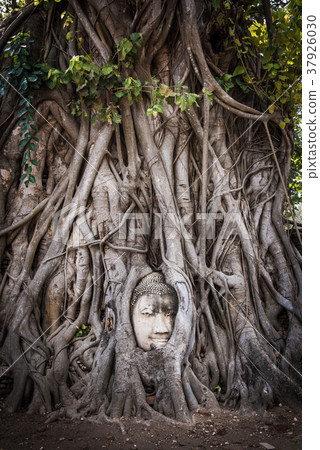 Thailand Ayutthaya Wat Mahathat 37926030