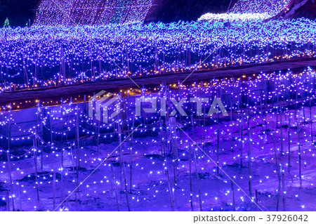 Ichihara Kuo Forest的照明 37926042