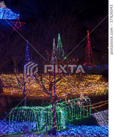 Ichihara Kuo Forest的照明 37926043