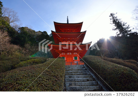 Nagafukuji寺三座塔 Nagafukuji寺三座塔 37926202