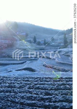 Midwinter Tanada Sayo Town Midwinter Tanada Sayo Town 37926230