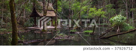 Buddha Garden and Holy Well at Doi Chang mountain 37926752