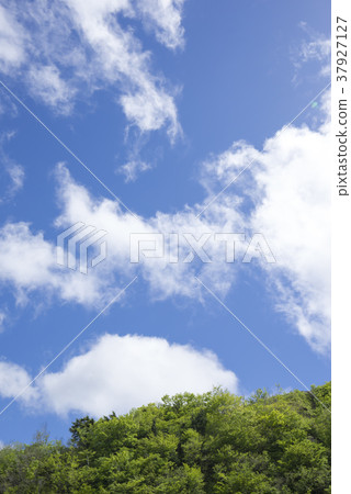 流動的白色雲彩和清楚的天空清楚的藍天背景圖像完善了透視透視材料垂直 流動的白色雲彩和清楚的天空清楚的藍天背景圖像完善了透視透視材料垂直 37927127