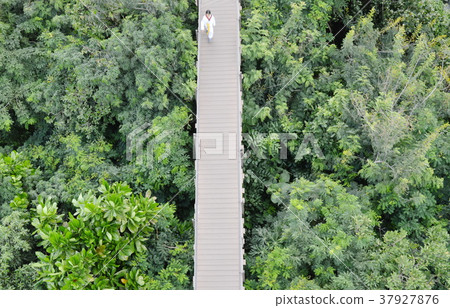 blurry girl walking on wooden bridge  37927876