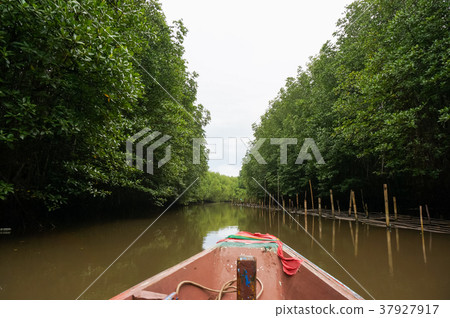 from canal to estuary. 37927917