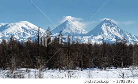 Panorama winter volcano landscape of Kamchatka 37928956