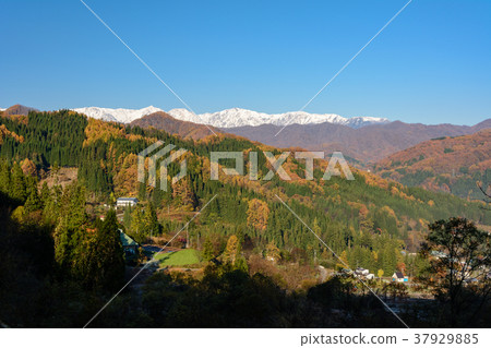 白馬Miyama和藍天 白馬Miyama和藍天 37929885