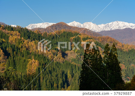 Hakuba Miyama和Yamazato 37929887