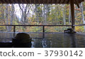 A semi-open-air hot spring bath at a hot spring hot spring 37930142