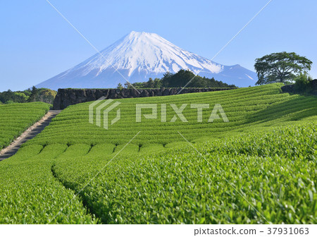 The scenery from Imamiya-333167 37931063