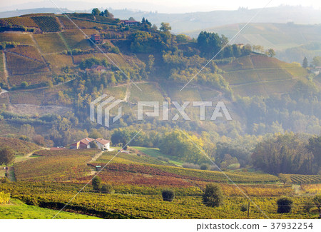 Astigiano, Piedmont, Italy 37932254
