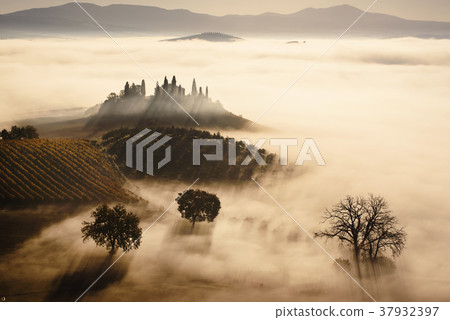 Drowned in the fog Drowned in the fog 37932397