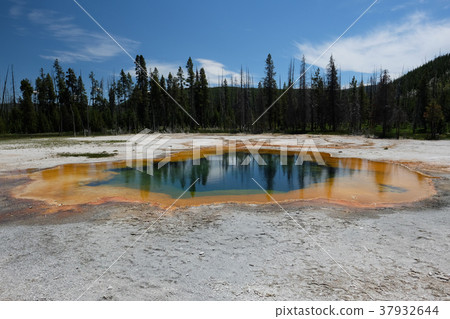 Hot thermal spring in Yellowstone 37932644